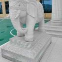 成都 白麻花岗岩动物异形石雕-大象