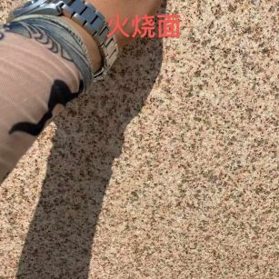 成都黄金麻火烧面